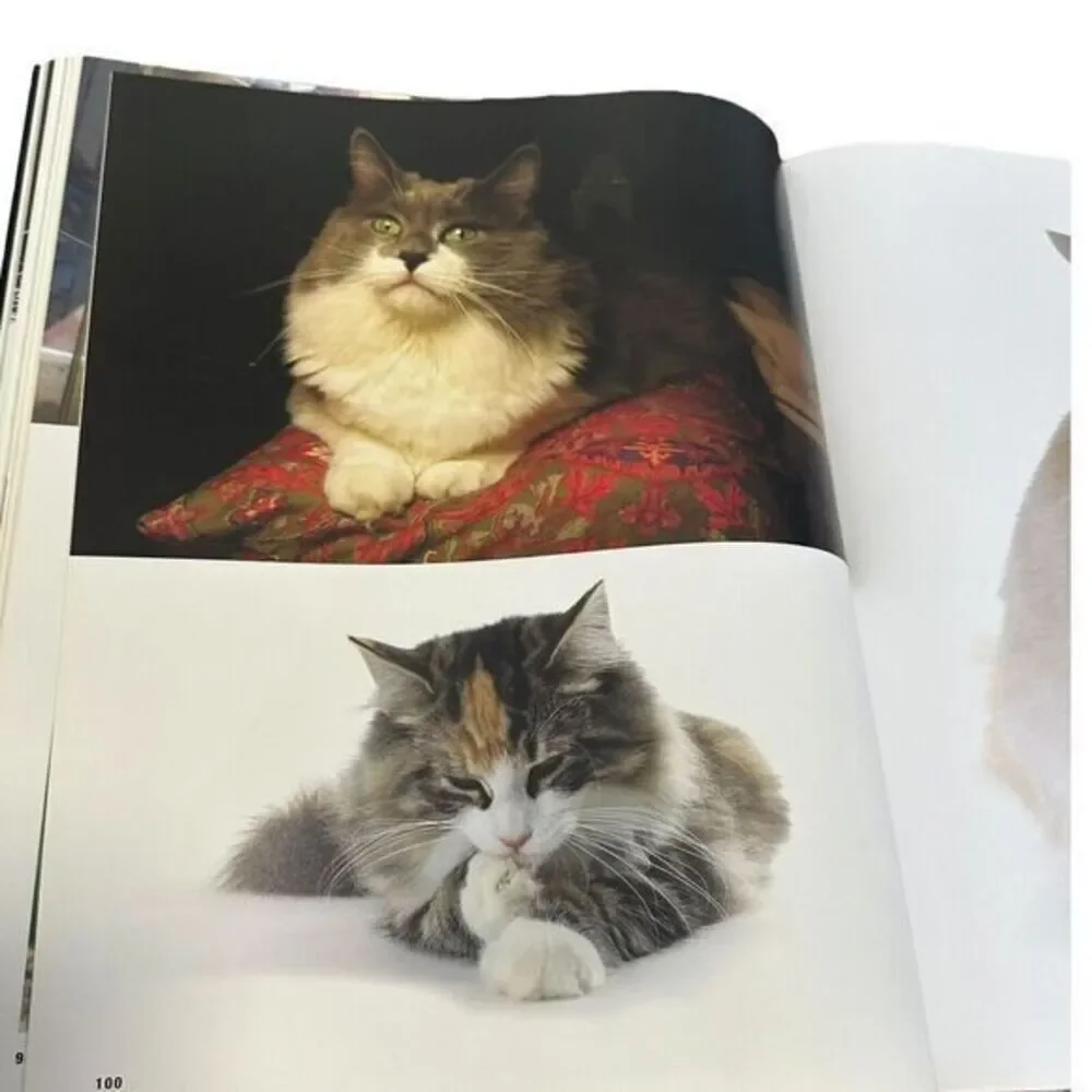 N/A interior book